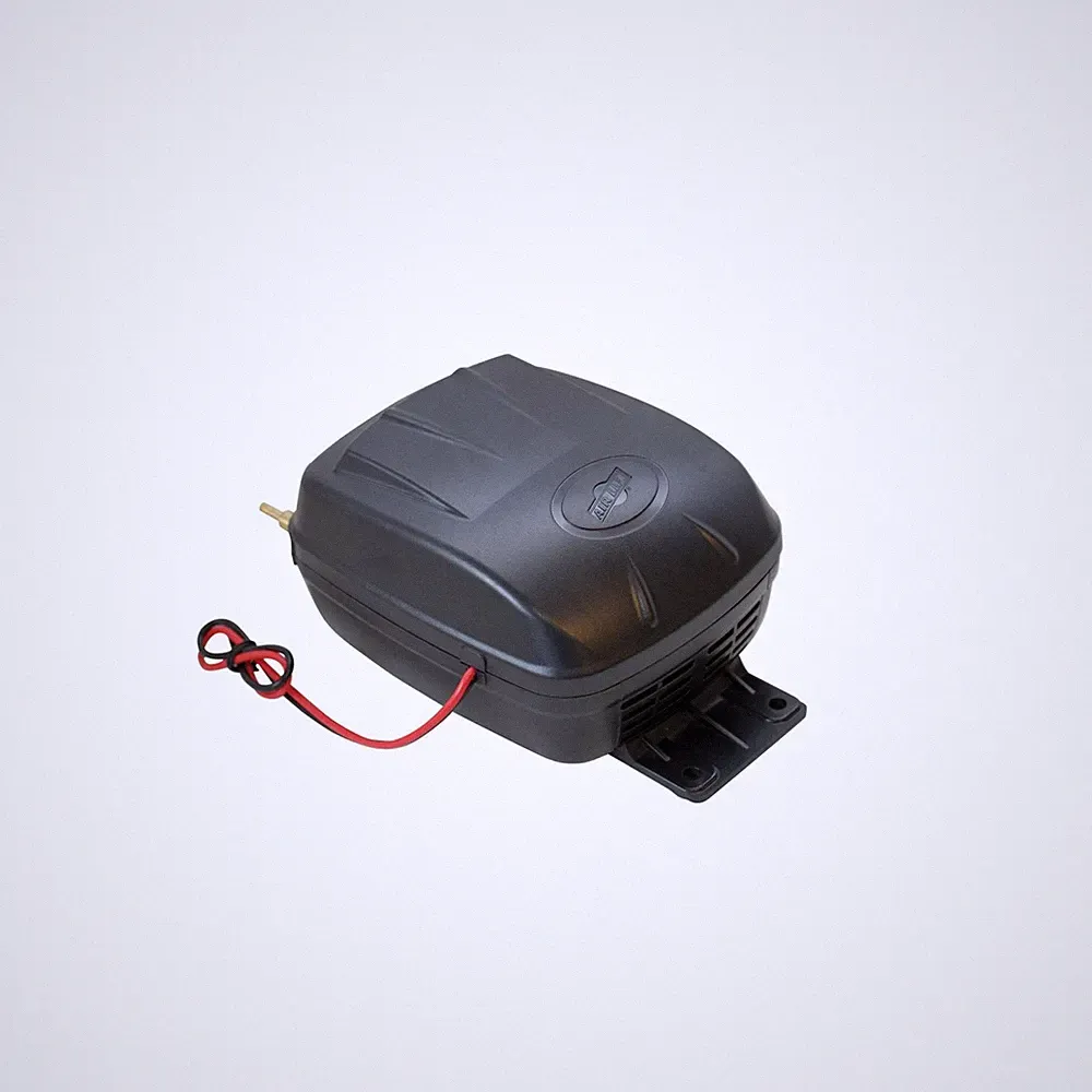 Air Lift 16060 Air Compressor silver, 12V